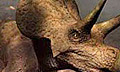 Палеонтологи обнаружили неизвестных рогатых динозавров