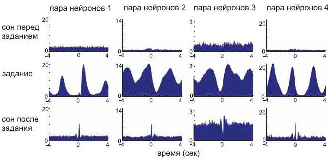Четыре примера «кросс-корреляционного сравнения» работы пар нейронов во время выполнения задания и во сне.