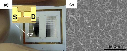 а) Увеличенное изображение транзистора в общей структуре прибора.
b) Сетка из нанотрубок