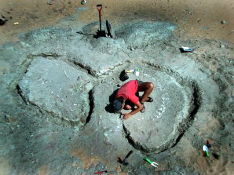 Некоторые из участников экспедиции 2000 года, в ходе которой был обнаружен частичный скелет нигерзавра, так вдохновились раскопками, что даже жертвовали ради них обеденным перерывом (фото M. Hettwer).