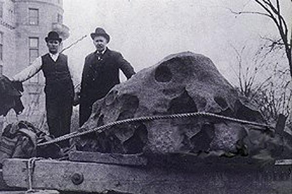 В апреле 1906 года крупнейший метеорит США Уилламетт весом 16 тонн был доставлен в Американский музей естествознания в Нью-Йорке.