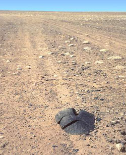 Черный каменный метеорит массой 30 кг, случайно попал под колесо автомобиля французской экспедиции в пустыне Сахара и развалился на три части, что сильно снизило его рыночную стоимость.
